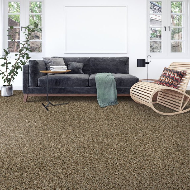 Carpet Spectrum Inc providing easy stain-resistant pet friendly carpet in Hermosa Beach, CA - Soft Reflection I